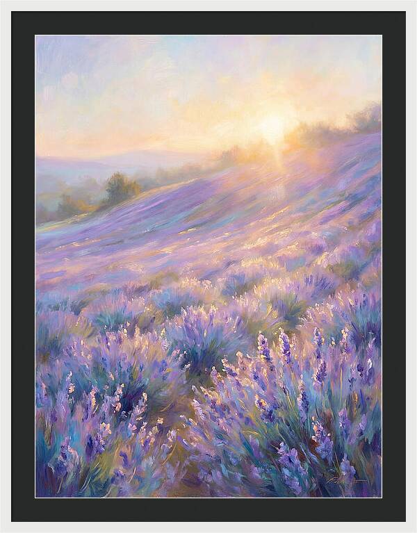 Lavender Fields At Sunrise