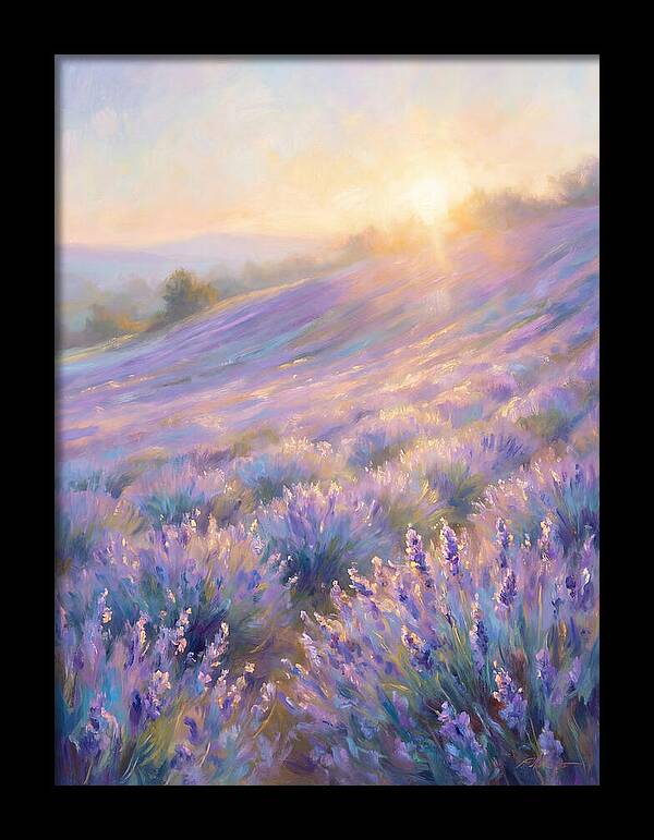 Lavender Fields At Sunrise