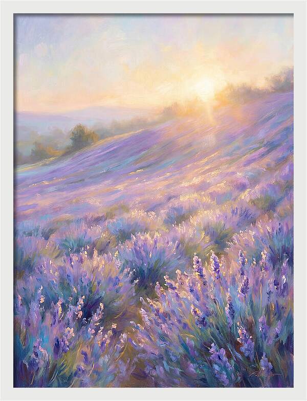 Lavender Fields At Sunrise