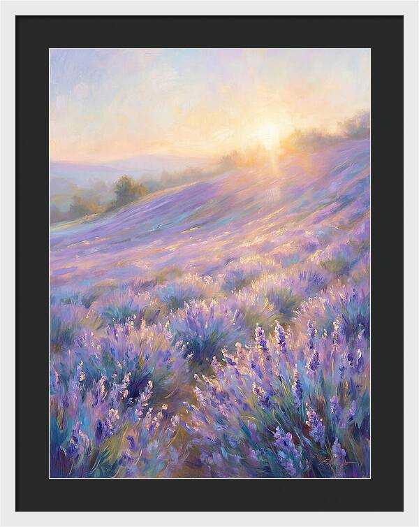 Lavender Fields At Sunrise