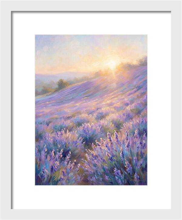 Lavender Fields At Sunrise
