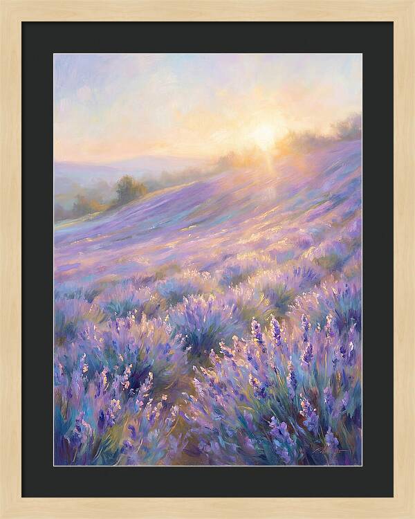 Lavender Fields At Sunrise