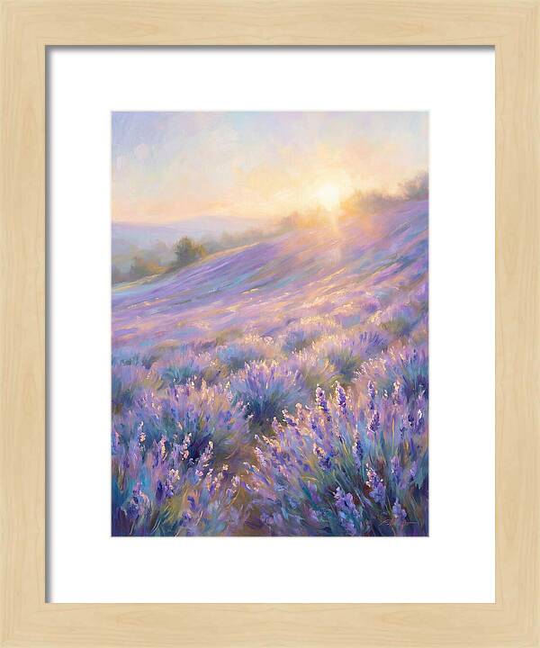 Lavender Fields At Sunrise