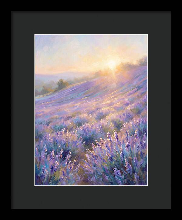 Lavender Fields At Sunrise