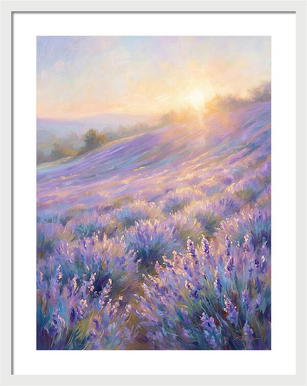 Lavender Fields At Sunrise