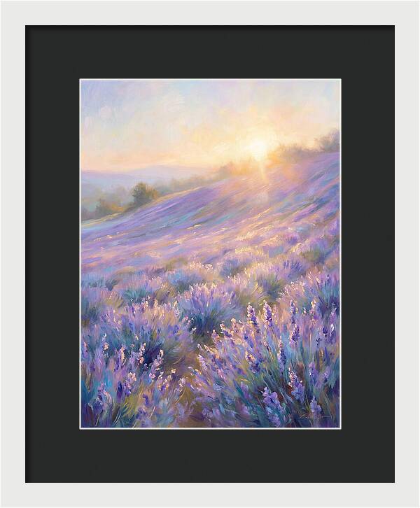 Lavender Fields At Sunrise