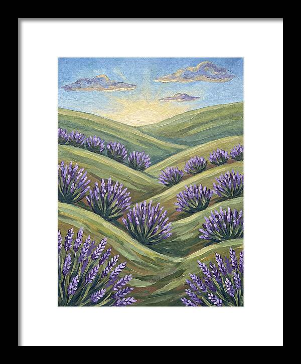 Lavender Fields At Sunrise