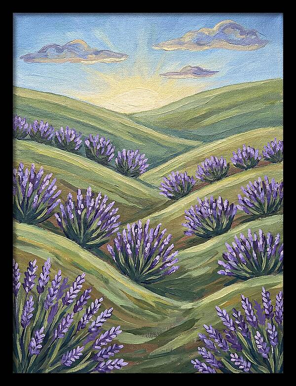 Lavender Fields At Sunrise