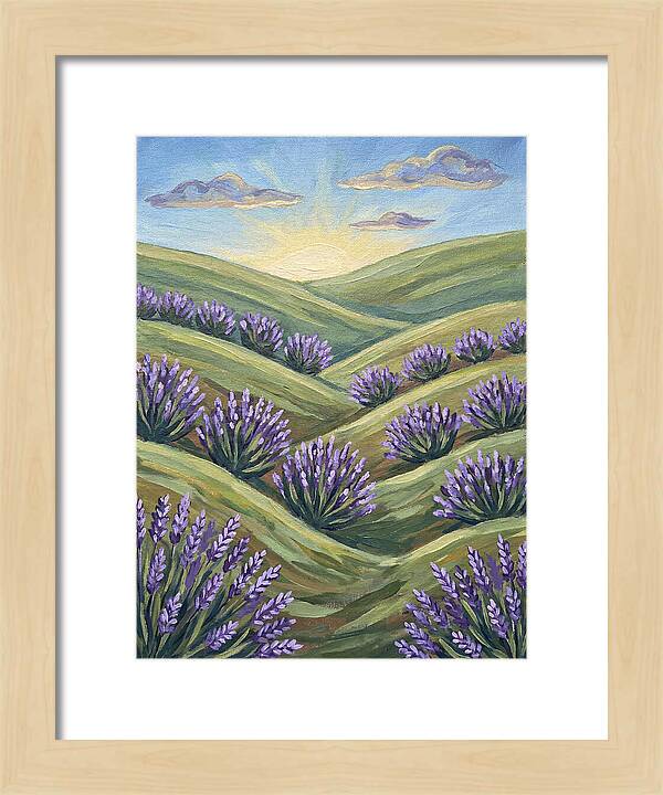 Lavender Fields At Sunrise