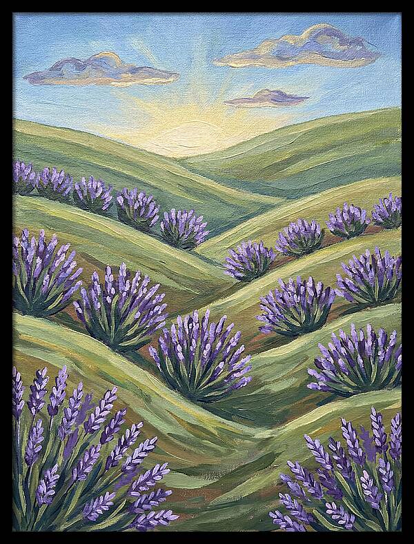 Lavender Fields At Sunrise