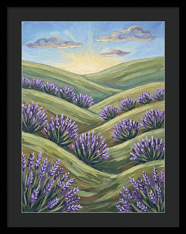Lavender Fields At Sunrise