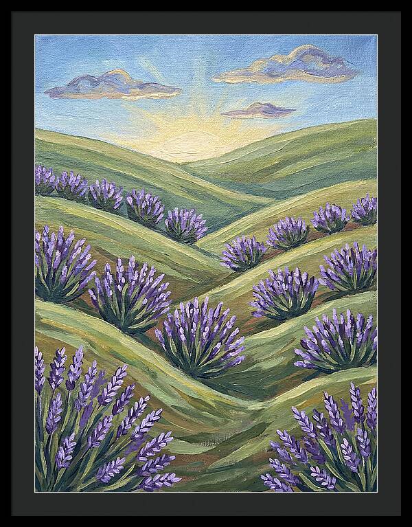Lavender Fields At Sunrise