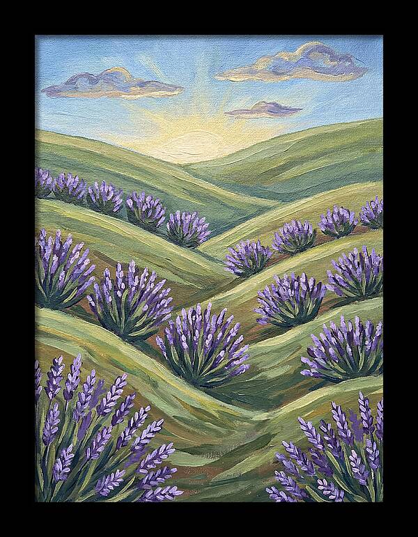 Lavender Fields At Sunrise