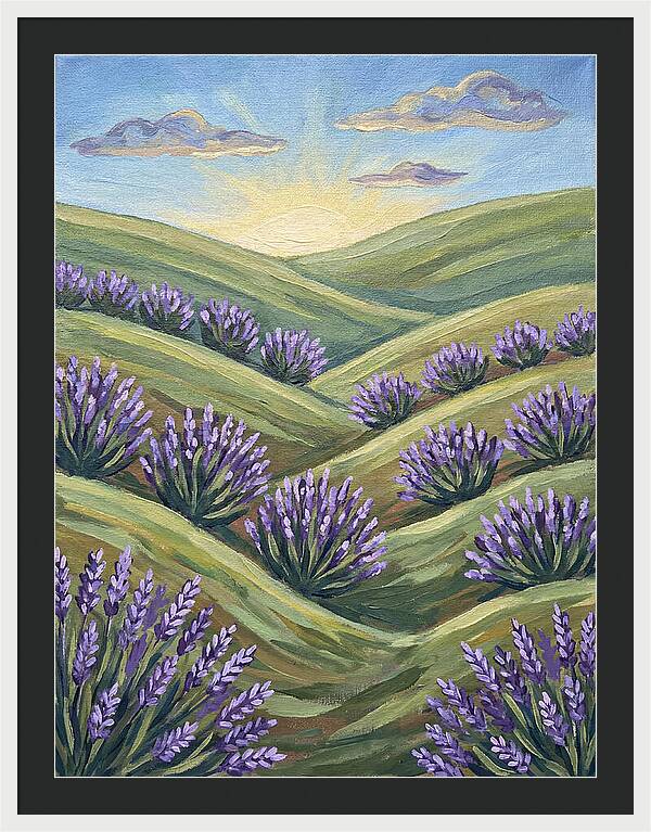 Lavender Fields At Sunrise