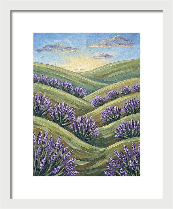 Lavender Fields At Sunrise
