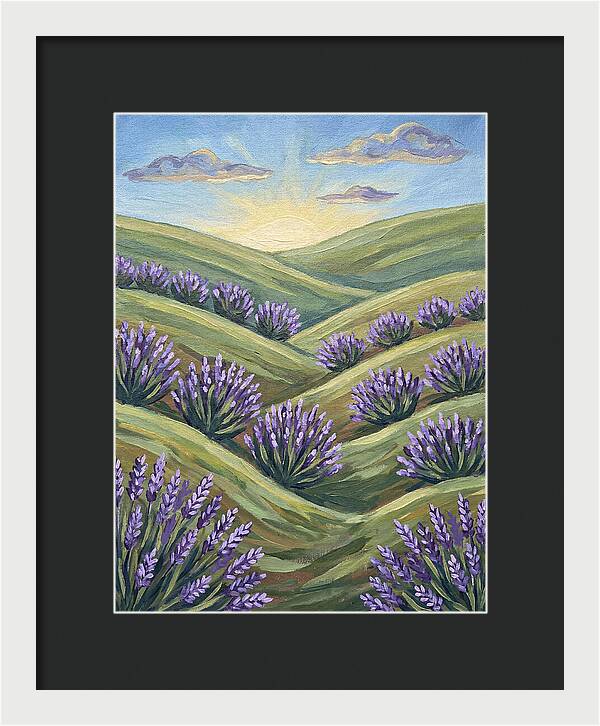 Lavender Fields At Sunrise