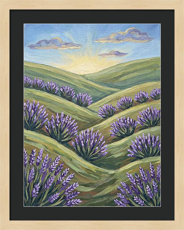 Lavender Fields At Sunrise