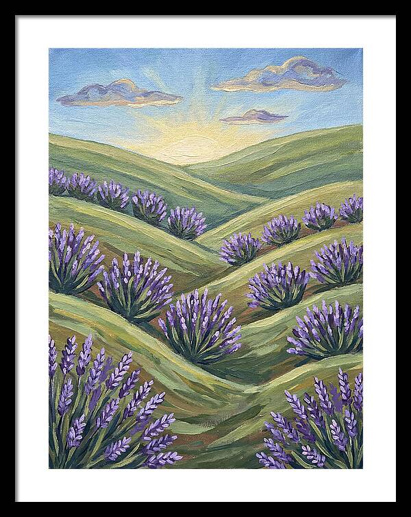Lavender Fields At Sunrise