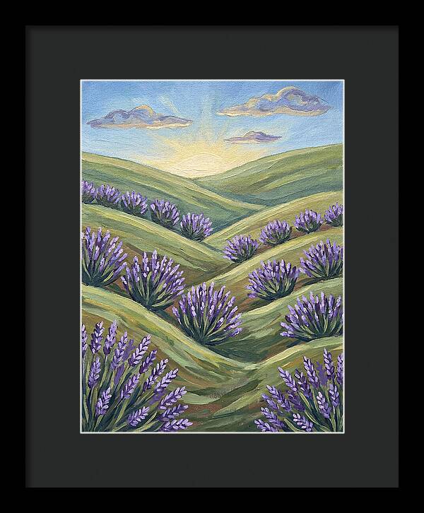 Lavender Fields At Sunrise