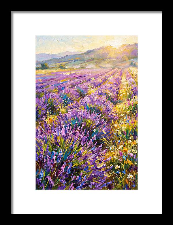 Lavender Fields At Sunset