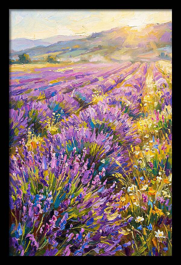 Lavender Fields At Sunset