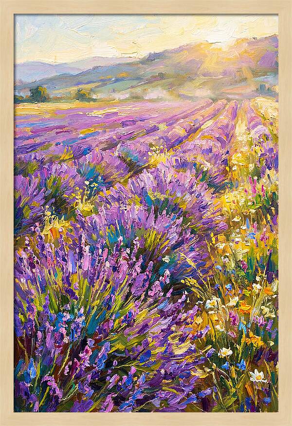 Lavender Fields At Sunset