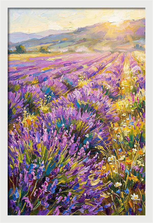 Lavender Fields At Sunset
