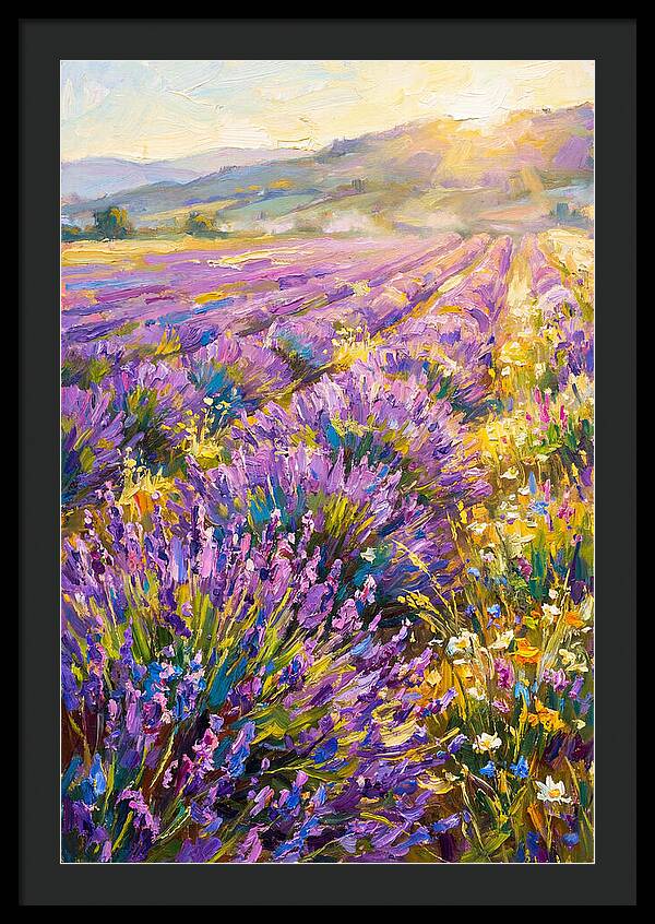 Lavender Fields At Sunset