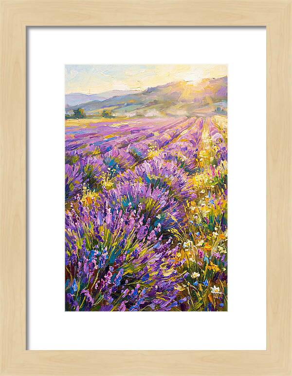 Lavender Fields At Sunset