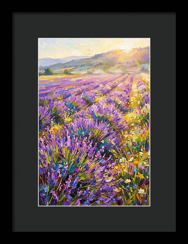 Lavender Fields At Sunset