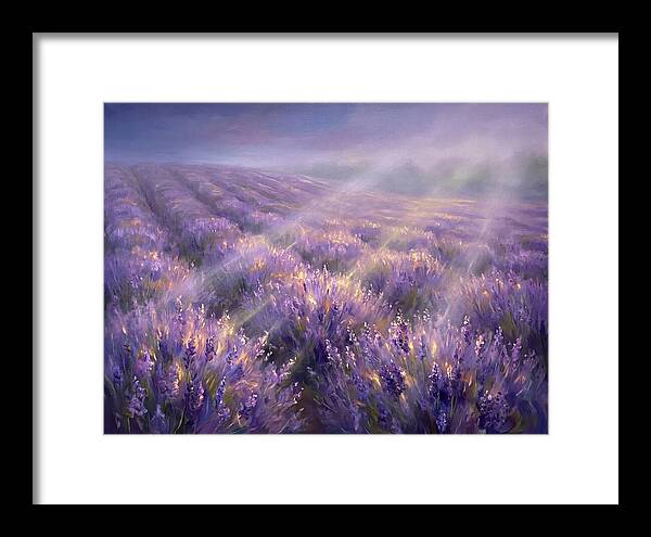 Lavender Fields