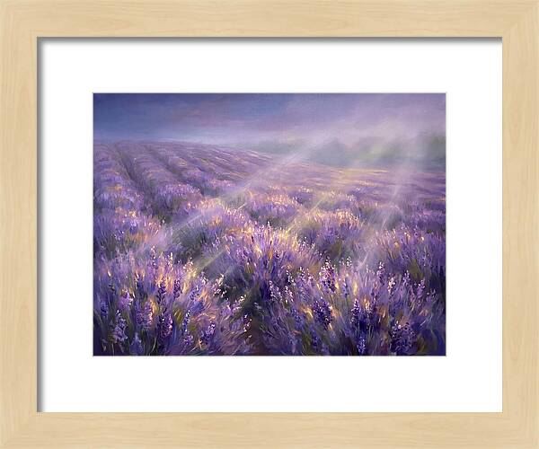 Lavender Fields
