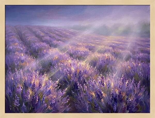 Lavender Fields