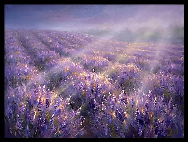 Lavender Fields