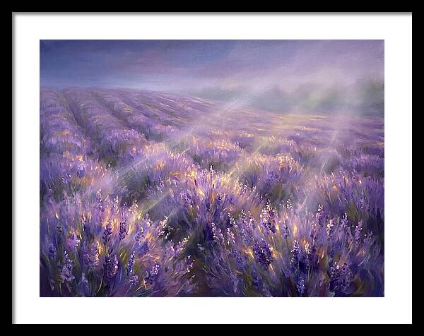 Lavender Fields