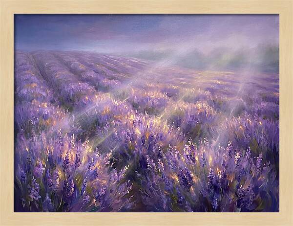 Lavender Fields