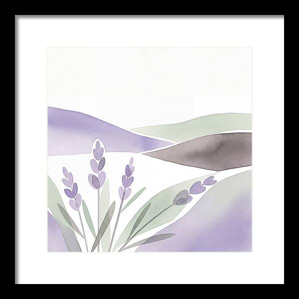 Lavender Fields In Bloom