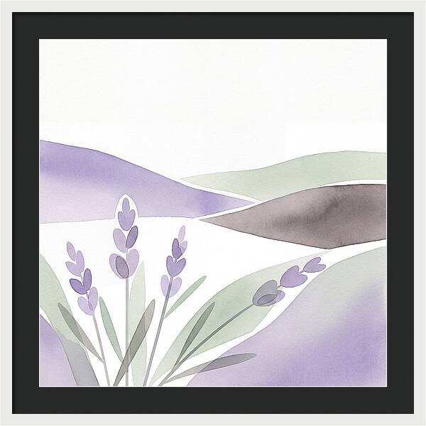 Lavender Fields In Bloom