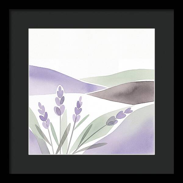 Lavender Fields In Bloom