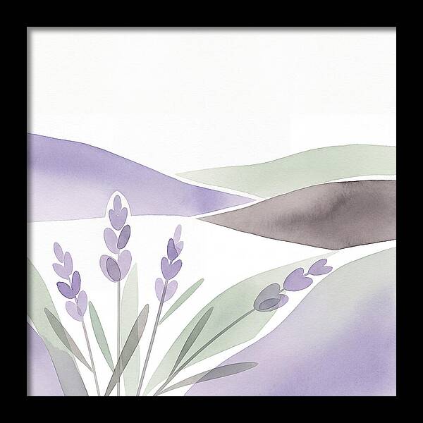 Lavender Fields In Bloom
