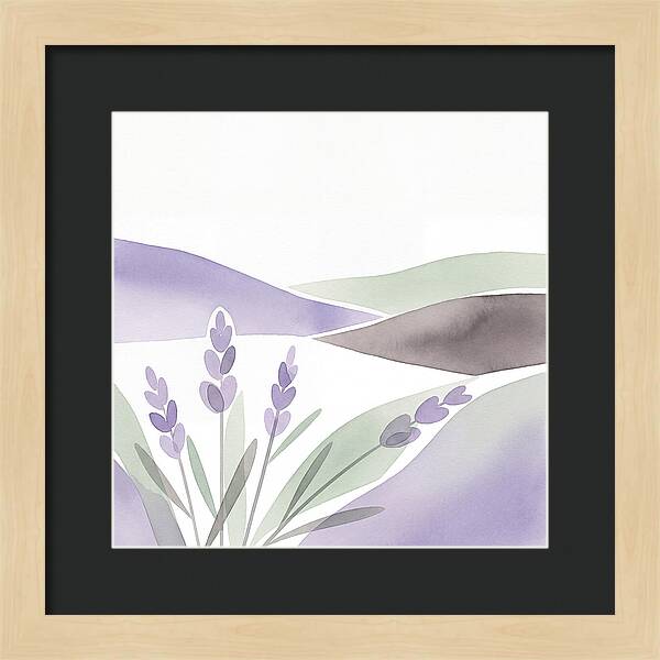 Lavender Fields In Bloom