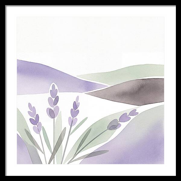 Lavender Fields In Bloom