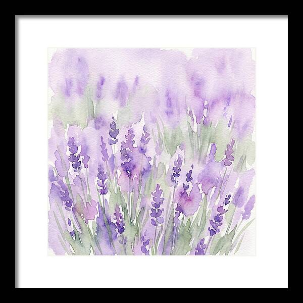 Lavender Fields In
