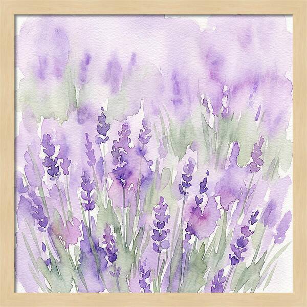 Lavender Fields In