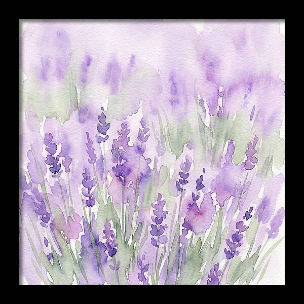 Lavender Fields In
