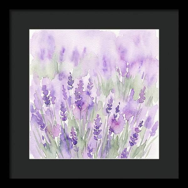 Lavender Fields In