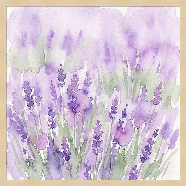 Lavender Fields In