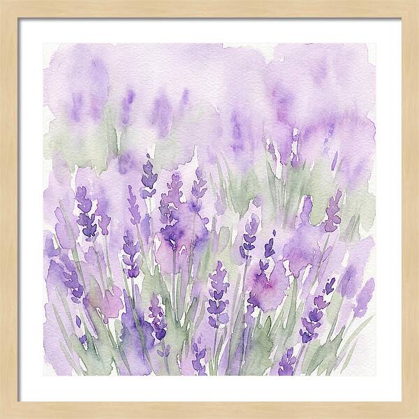 Lavender Fields In
