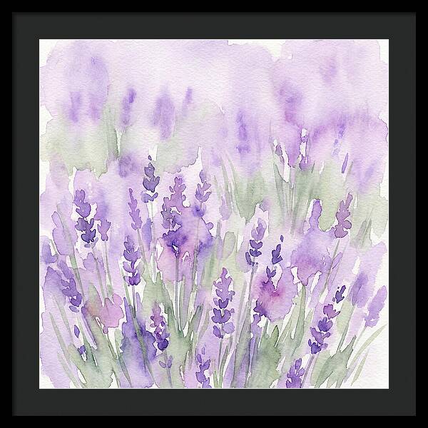 Lavender Fields In
