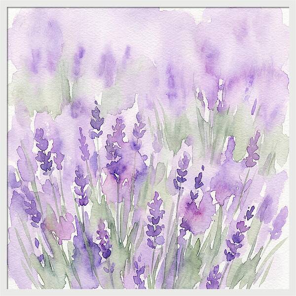 Lavender Fields In